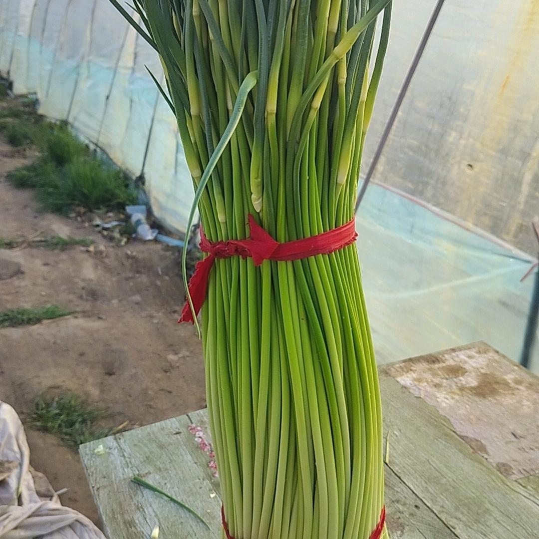 宿州市萧县发展家庭农场