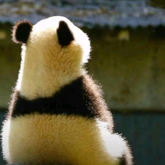 陌生人