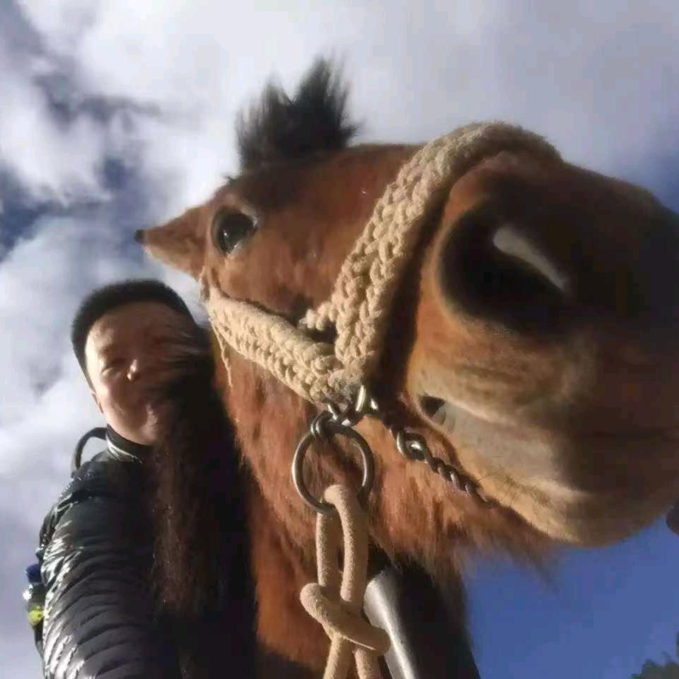 怨种小肖（躺平版）