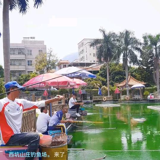 西坑。一亩垂钓园