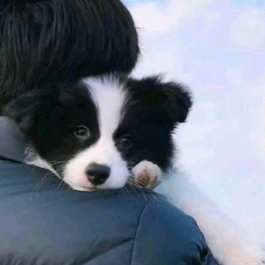 我想睡觉