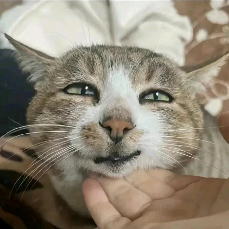 福