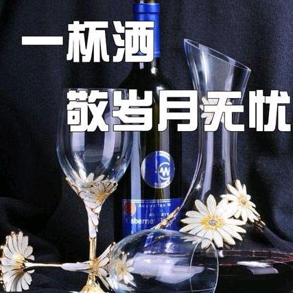 无需多言(｡•ˇ‸ˇ•｡)