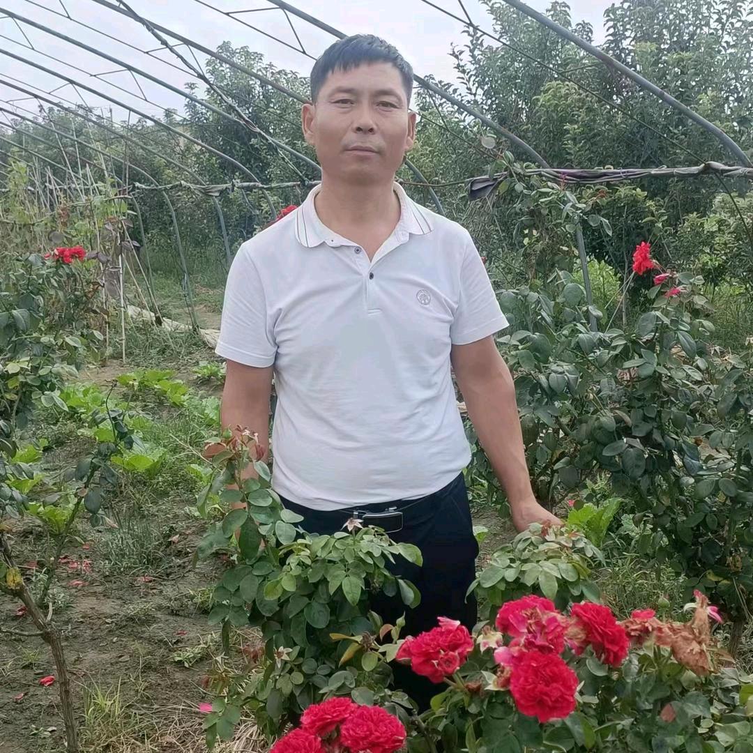 定兴县侠意园花卉种植有限公司