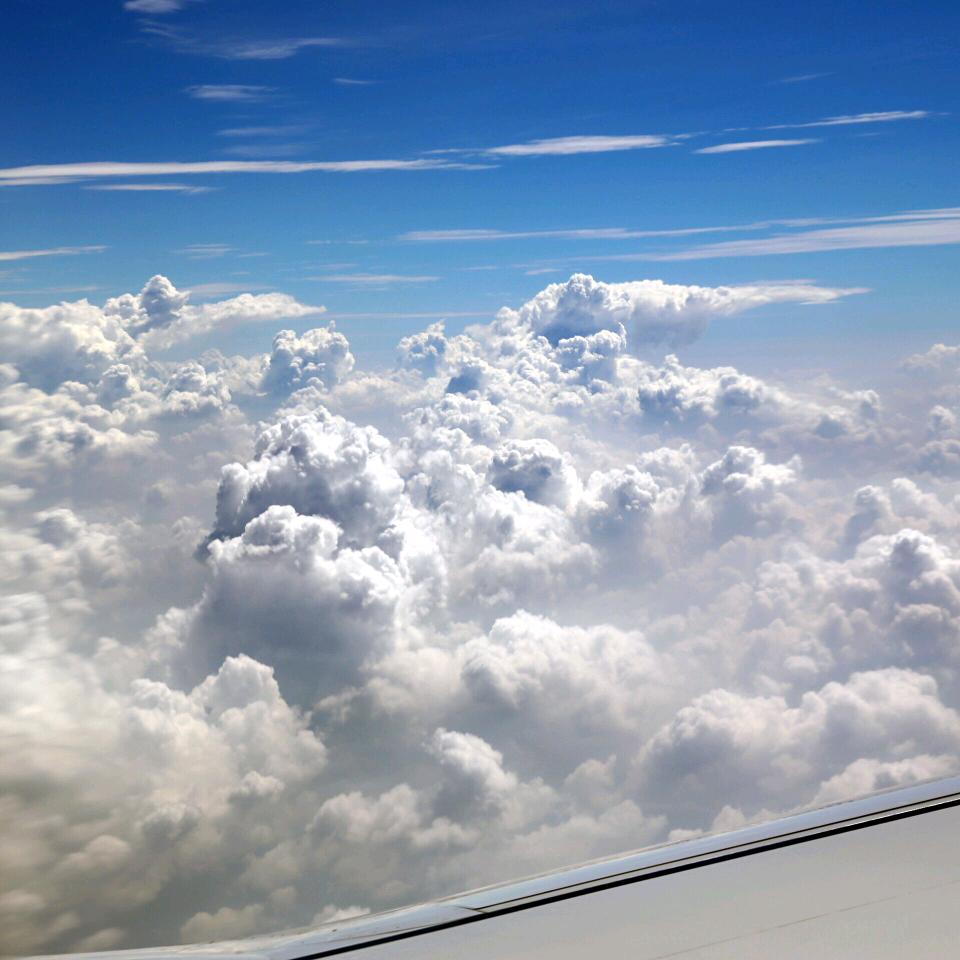 333（三角洲行动）