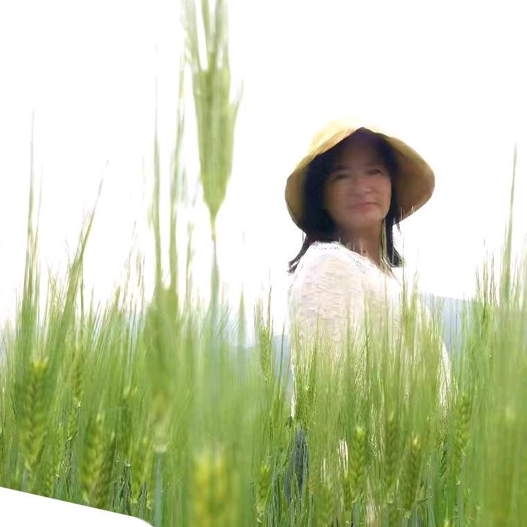 麻花辫子