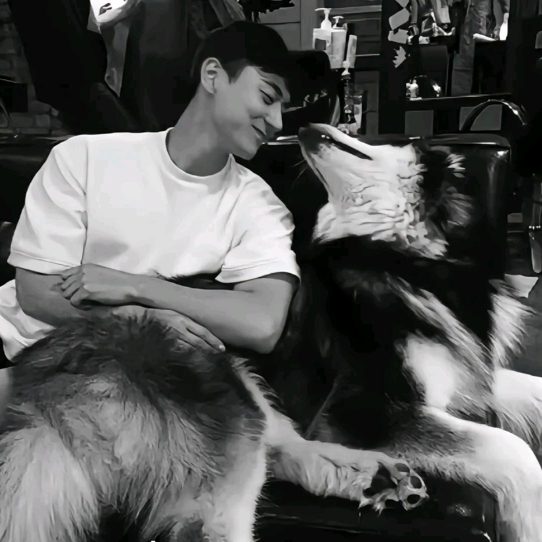凌晨四点睡