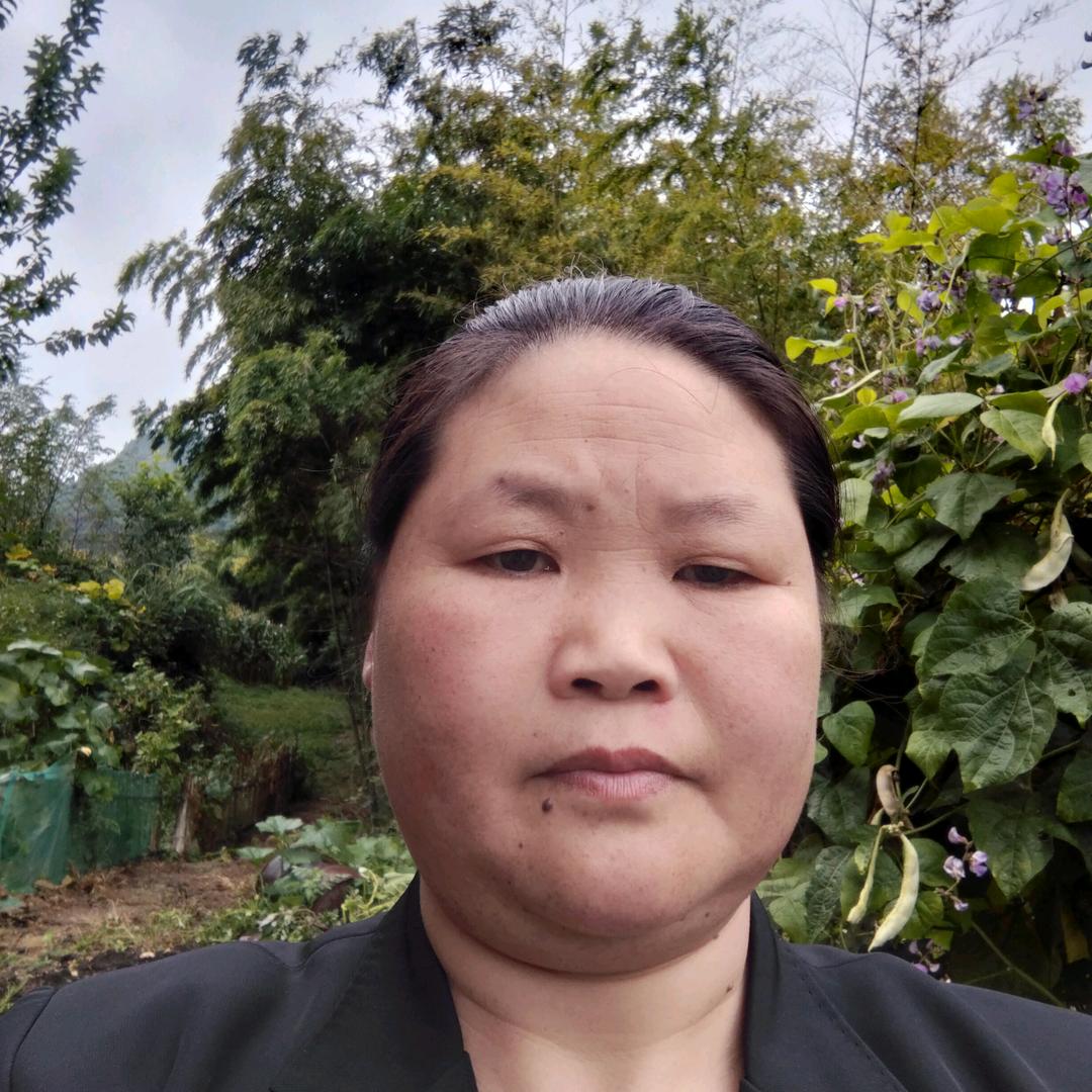 小张姐（聊天分享主播）