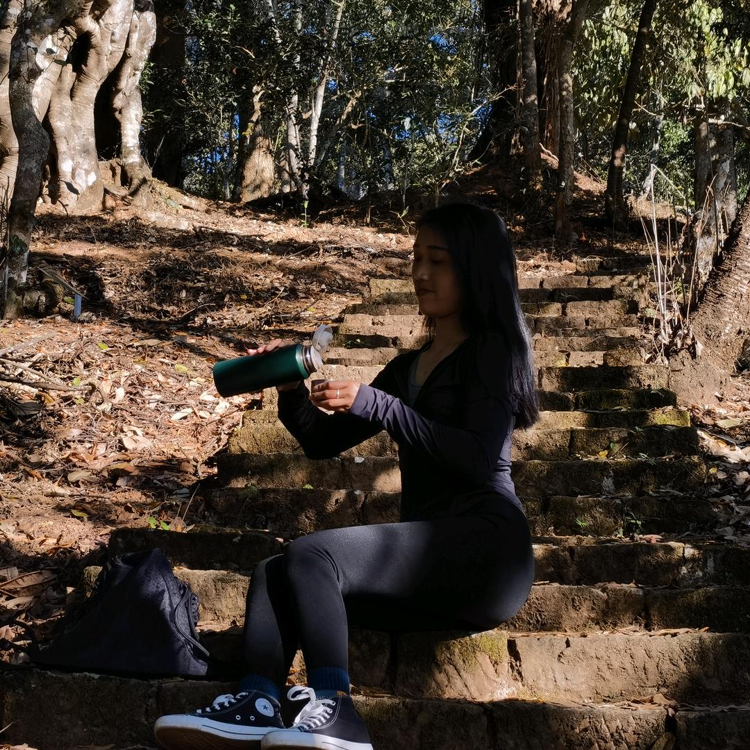 景迈山《芒洪茶祖树》 小刀