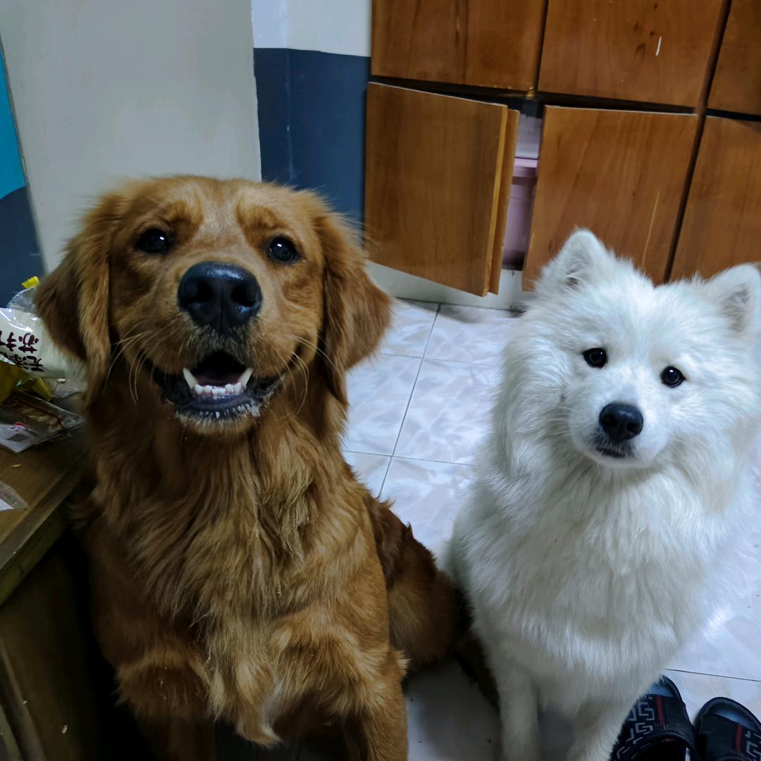 大宝 乖宝和小宝