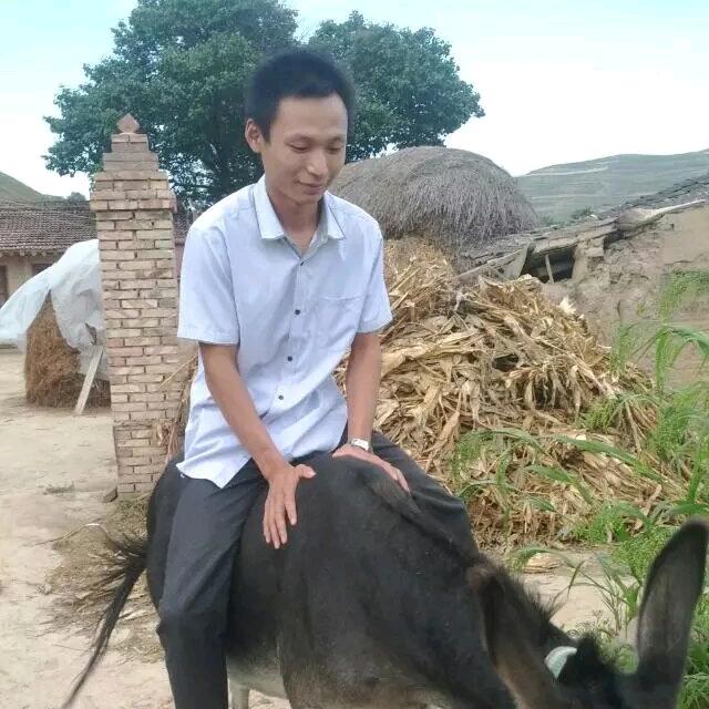 汶上东外环，南外环，卖快餐傅先生