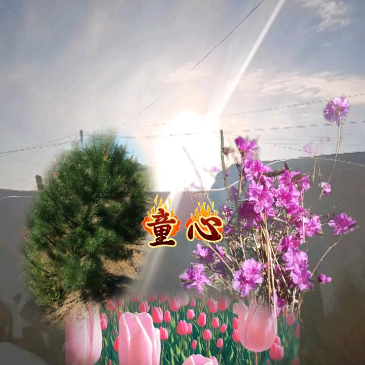 童心
