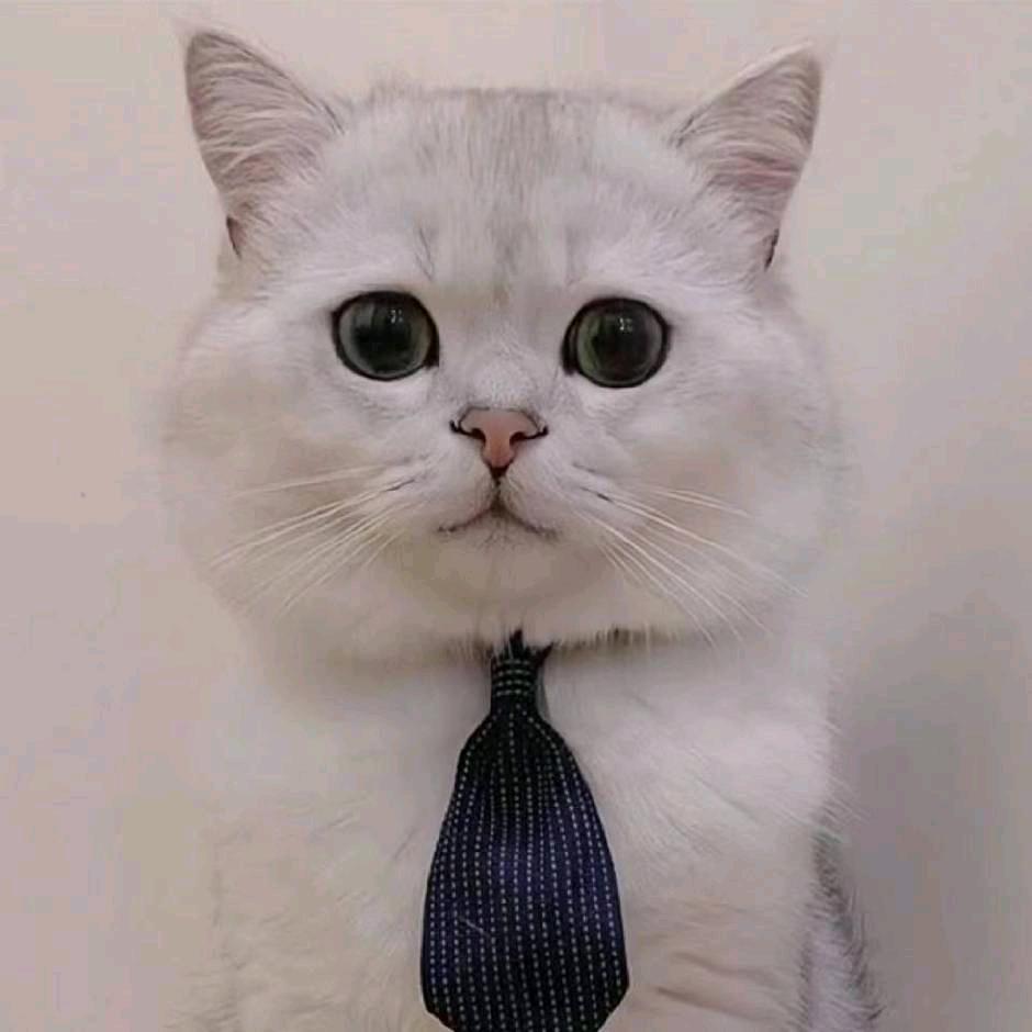 时间煮雨我煮周