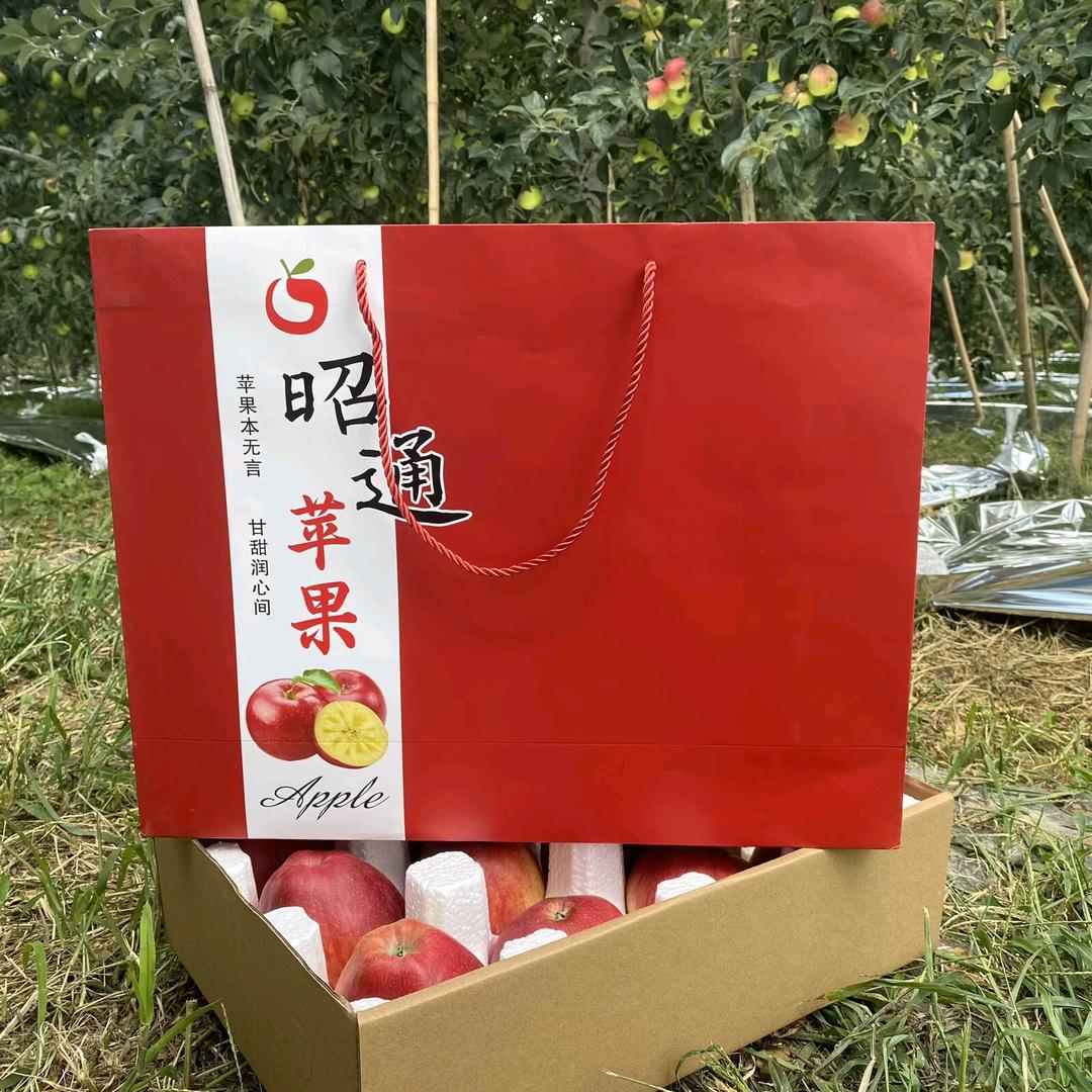 昭通苹果秋悦店