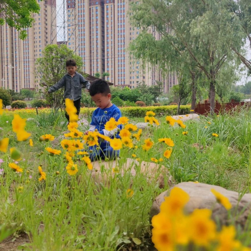 景景