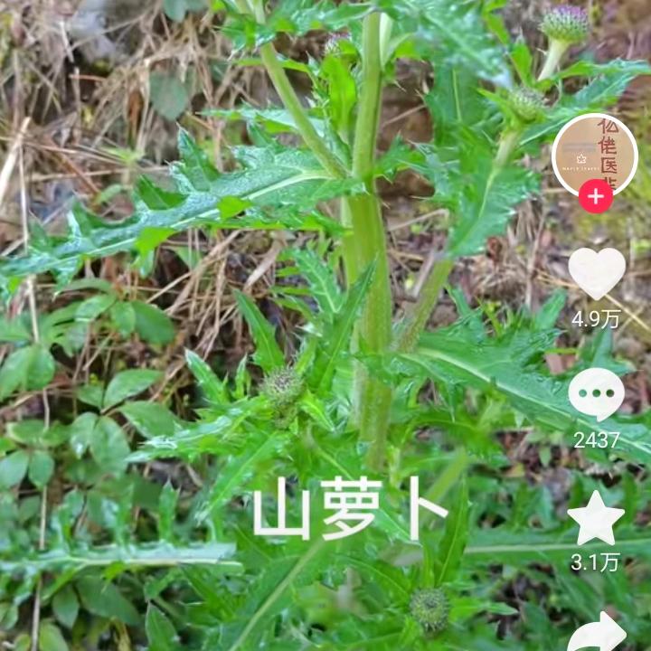 人生难以想象