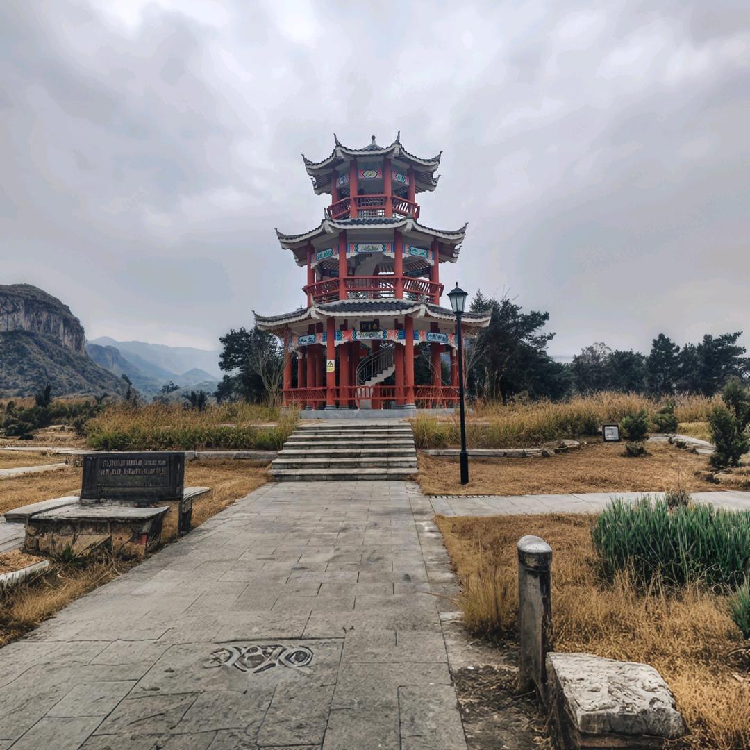 杨大