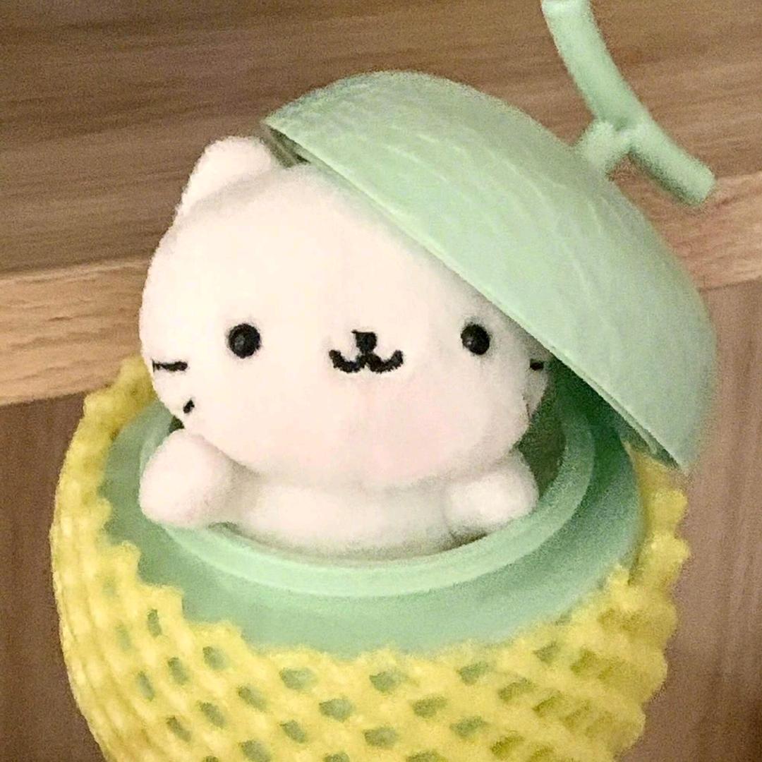 菠萝不炒蒜