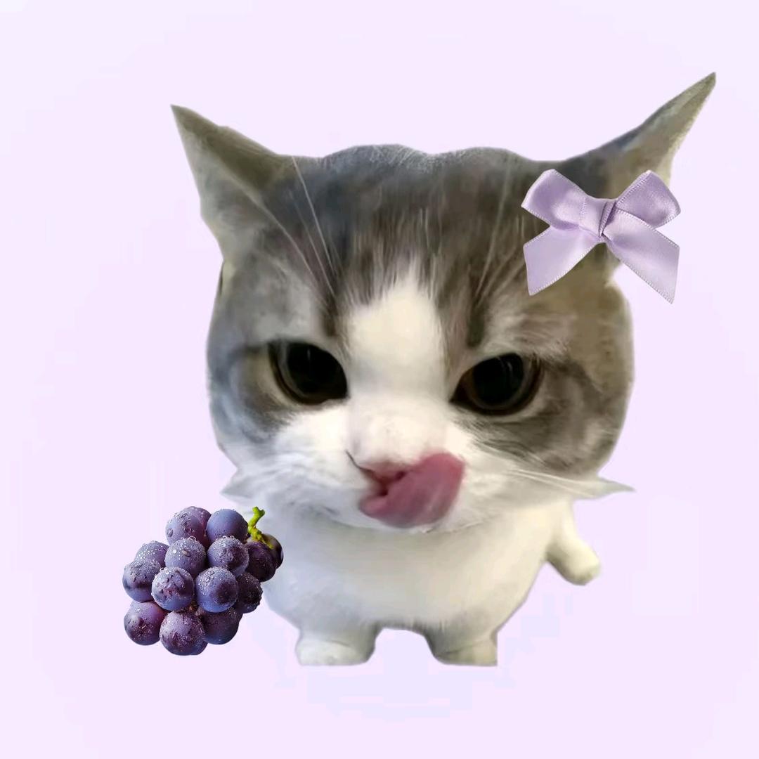 茄盒（六周年全勤版）