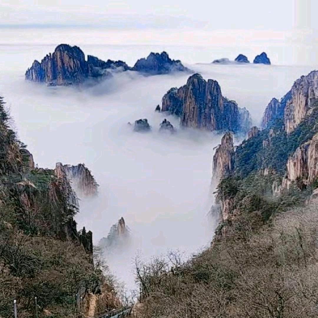 胜天半子