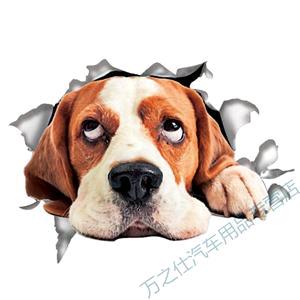 村花里的战斗机