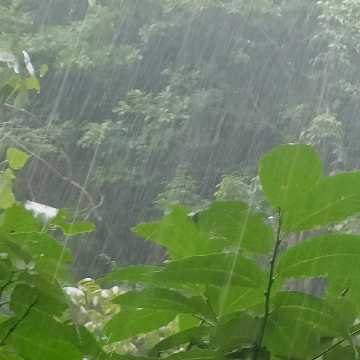 永远叫不醒装睡的人……