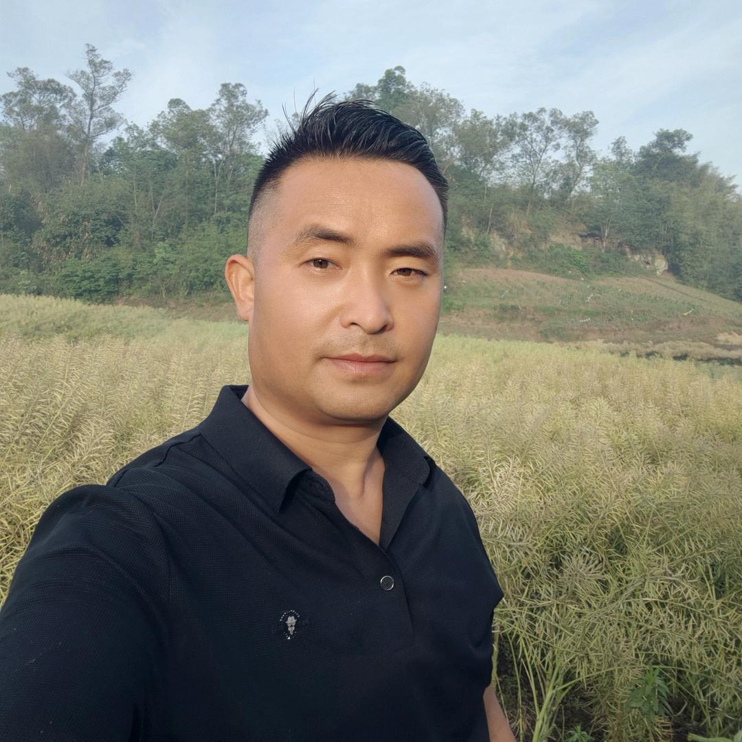 小何🌲收木柴