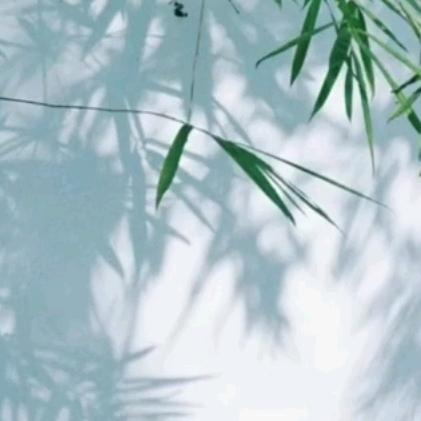 竹溪浣影