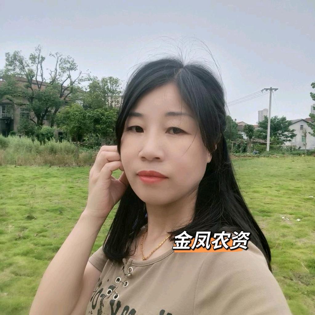 金凤农资