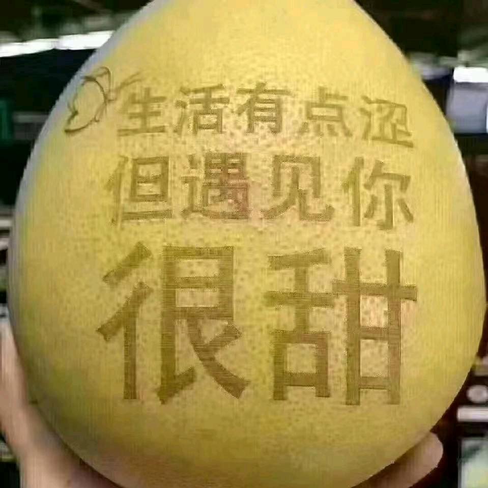 洪洪短剧