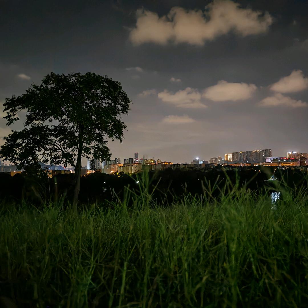 闷骚