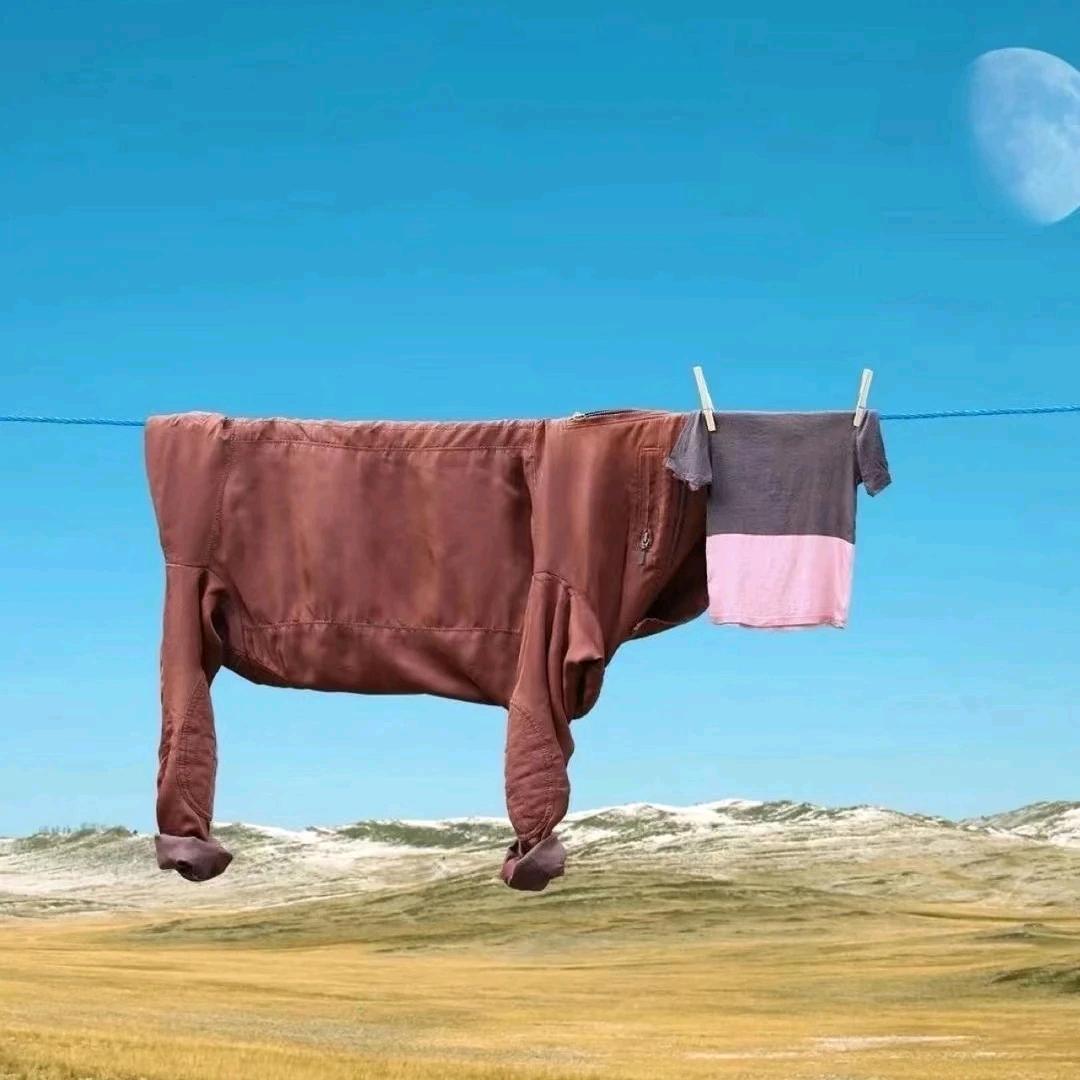 苏州牛通途信息咨询有限公司