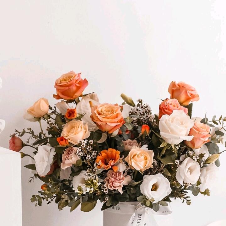 ໑ຼₒ₂₄ ღ᭄幸运相随❤️