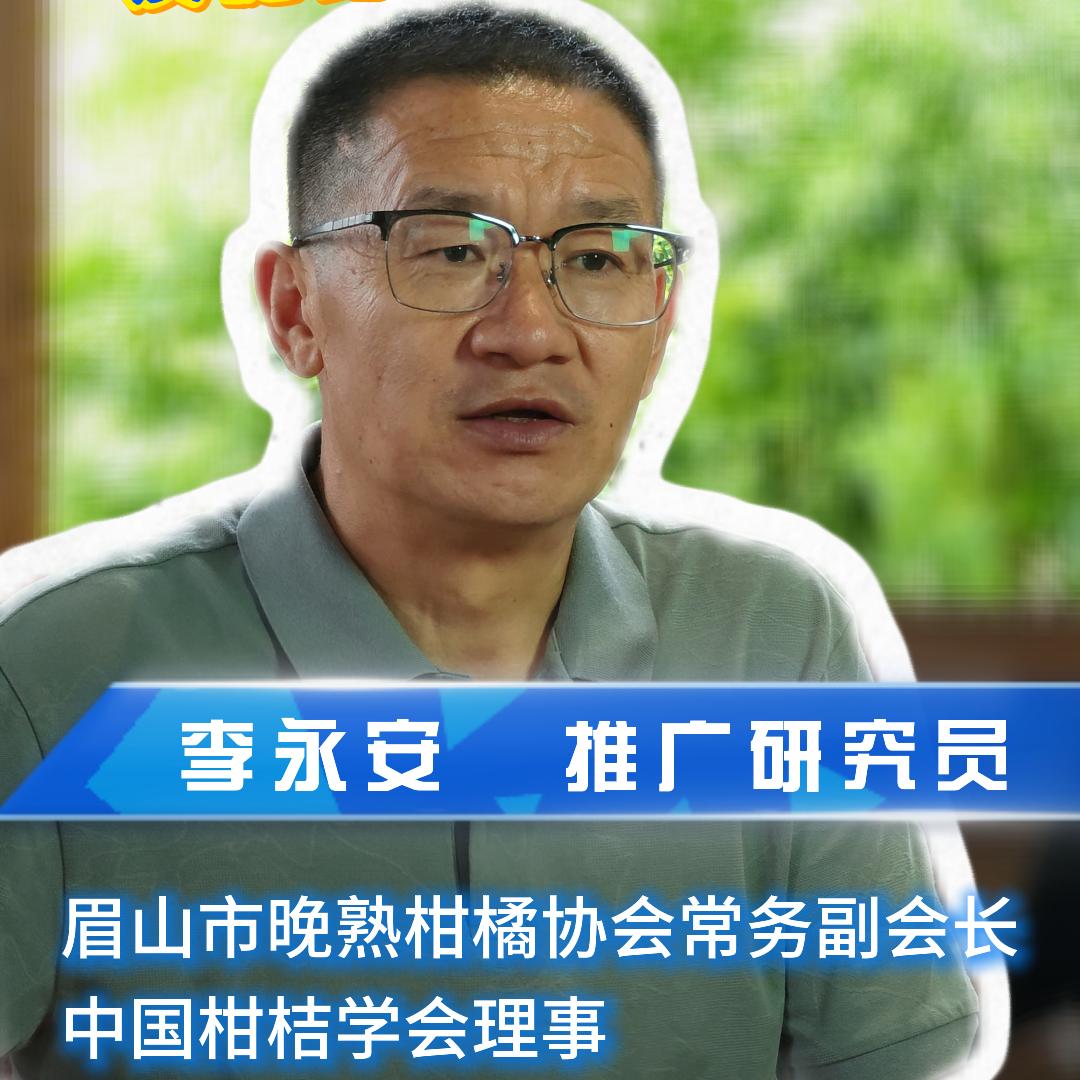 李永安说柑桔