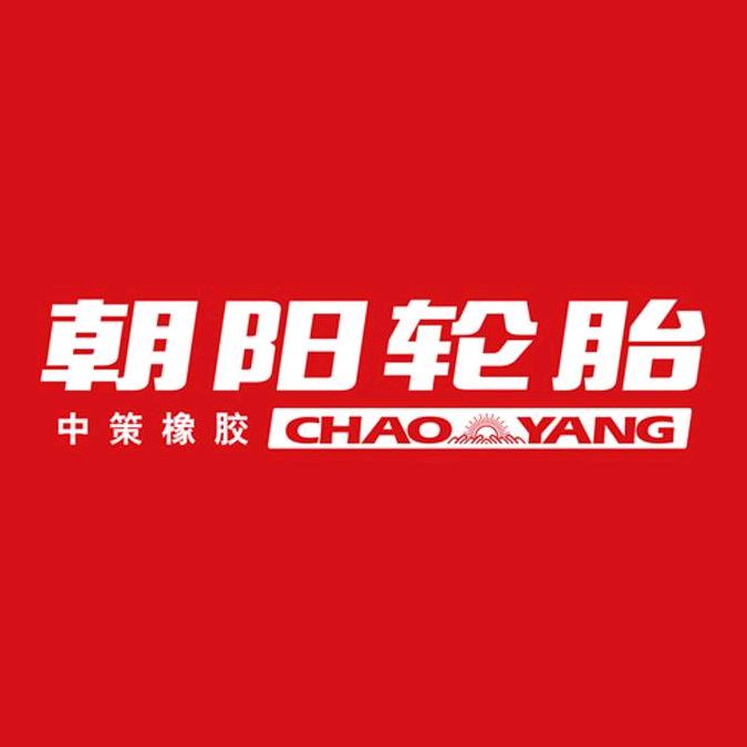 朝阳运动配件旗舰店