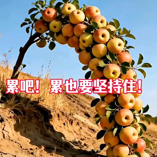 择善而处，择品而交，