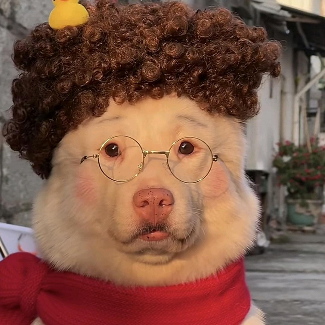 隔壁家的李云龙