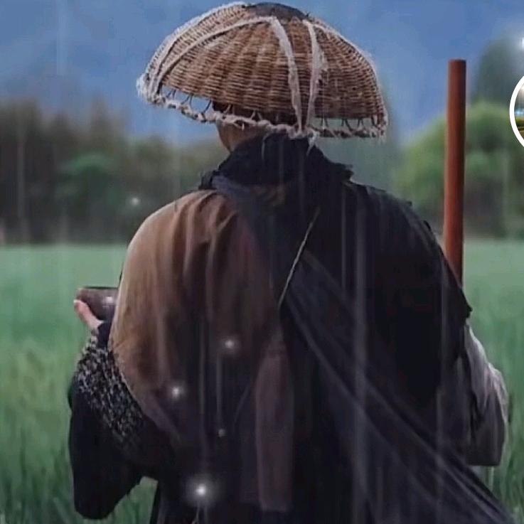 皮囊之下