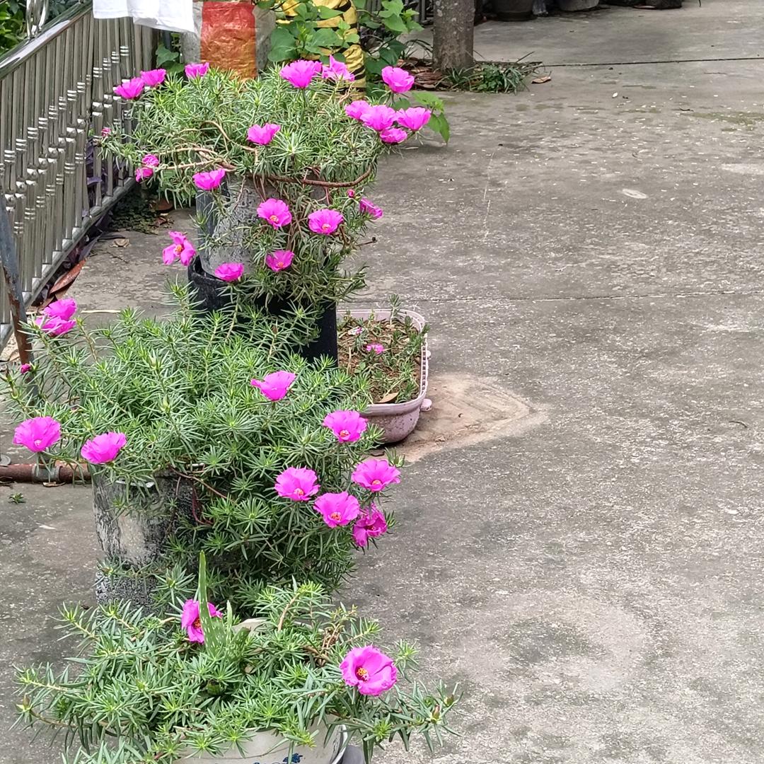 💞ღ᭄ꦿ꯭℘家💞᪲有᭄ᩚ꯭ᩚ儿女