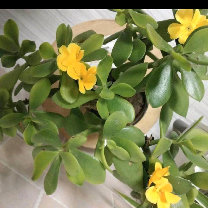 宁静致远@