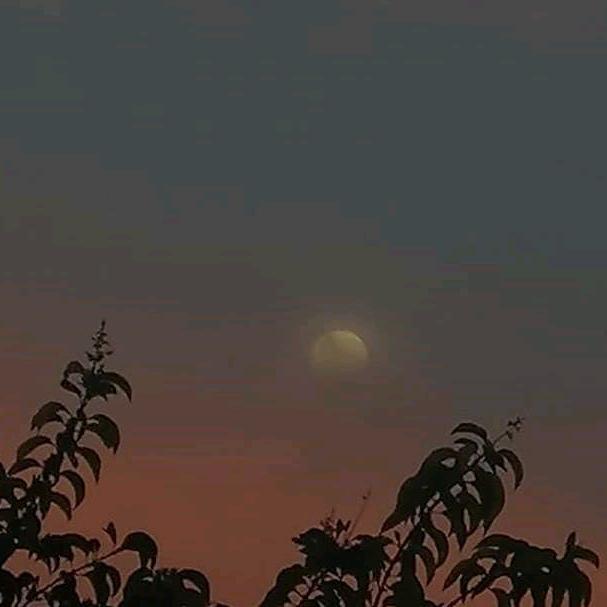 重头来