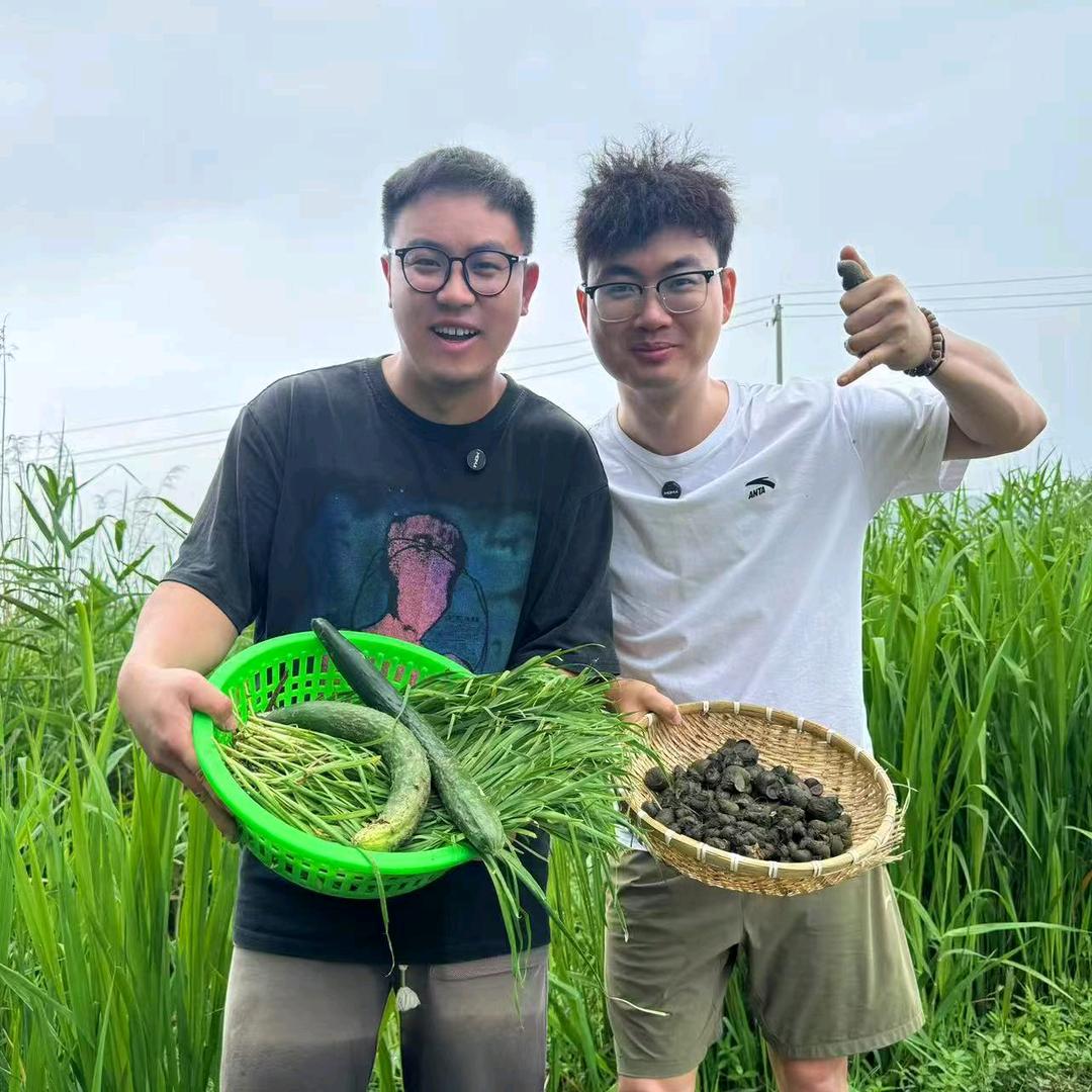 平头和卷毛的乡村生活