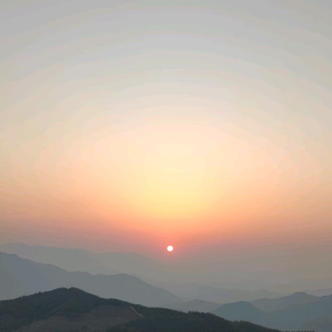 高级动物搬运工