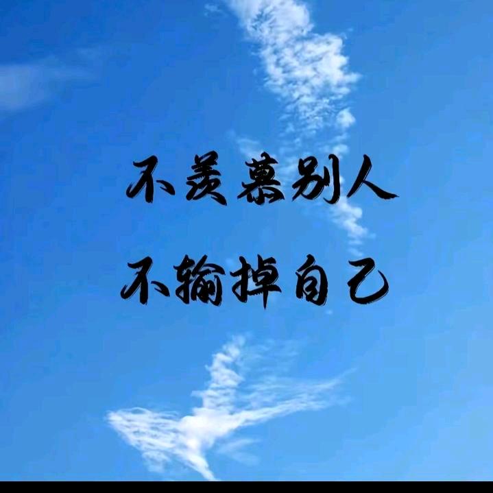 欣新《单身》