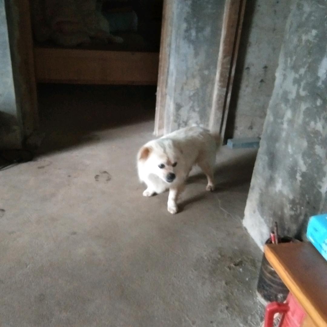 荏苒◡ ヽ(`Д´)ﾉ