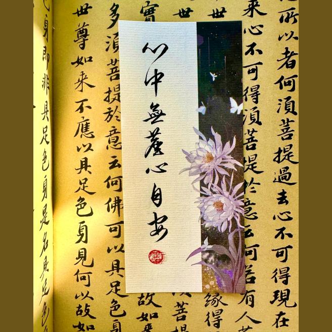 无尘心