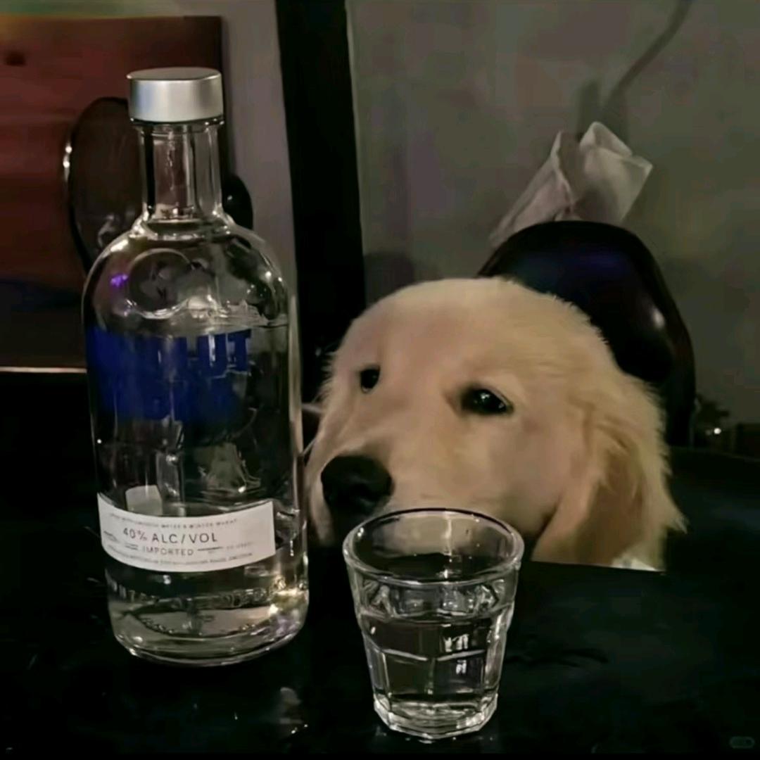 若溪的零食铺子