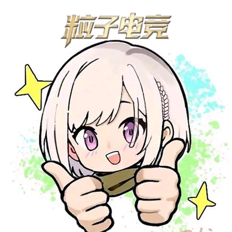 粒子电竞（三角洲行动）