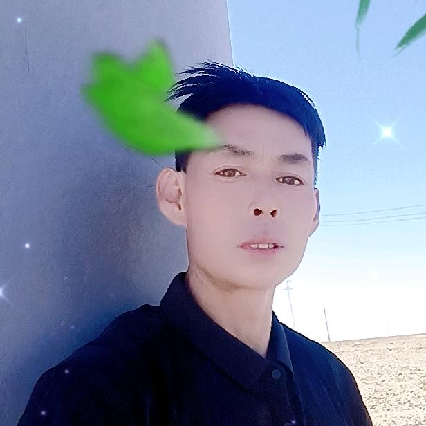 二傻，爱唱情歌