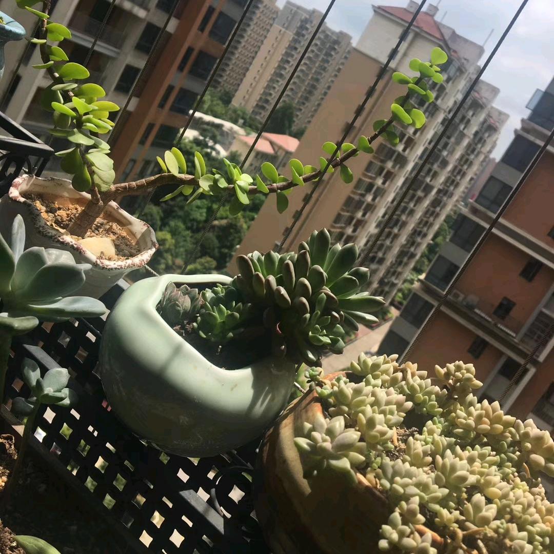 ☀️太阳☀️